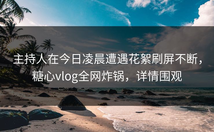 主持人在今日凌晨遭遇花絮刷屏不断，糖心vlog全网炸锅，详情围观