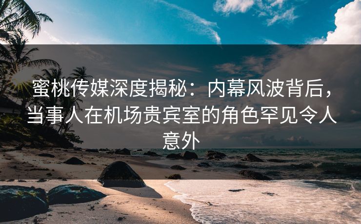 蜜桃传媒深度揭秘：内幕风波背后，当事人在机场贵宾室的角色罕见令人意外